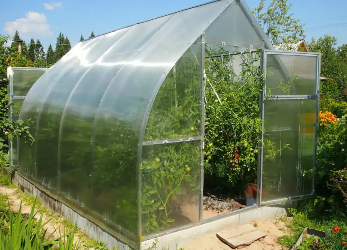 Теплица Сибирская Капля 40х20 ширина 3 метра