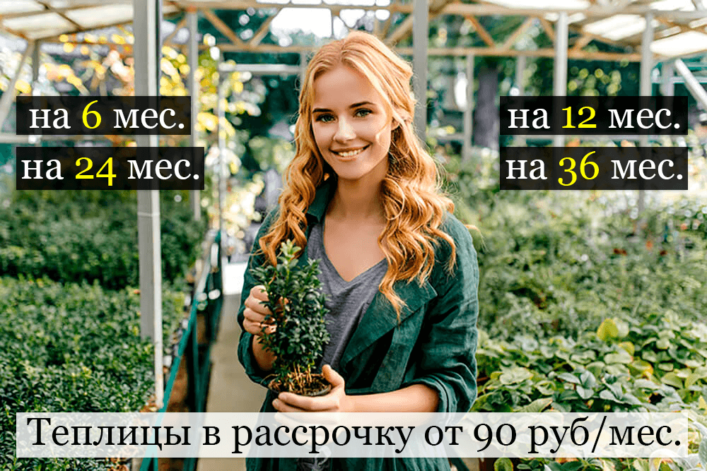 теплица в рассрочку банер